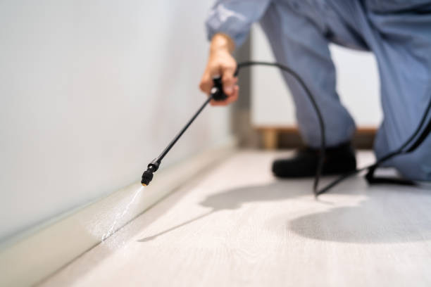 Rodent Entry Point Assessment in North Las Vegas
