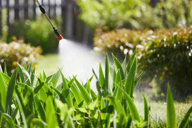 Tamper-Resistant Bait Stations for Rodents in North Las Vegas