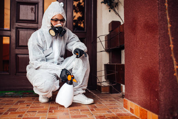 Attic and Crawl Space Rodent Treatment in North Las Vegas